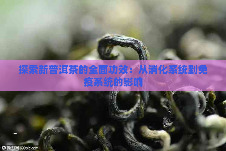 探索新普洱茶的全面功效：从消化系统到免疫系统的影响