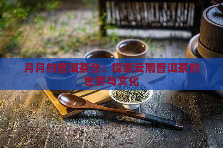 月月的普洱茶仓：探索云南普洱茶的世界与文化