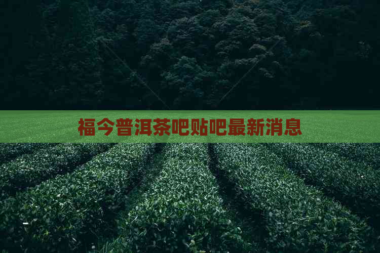 福今普洱茶吧贴吧最新消息