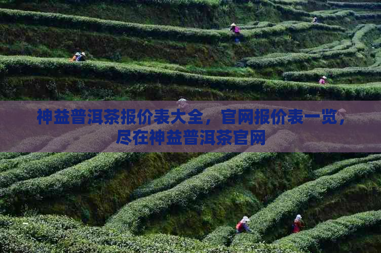 神益普洱茶报价表大全，官网报价表一览，尽在神益普洱茶官网