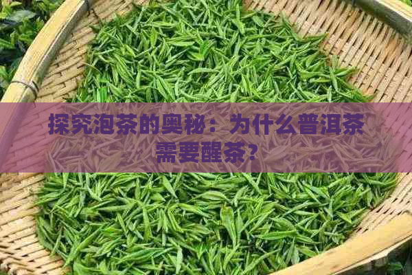 探究泡茶的奥秘：为什么普洱茶需要醒茶？