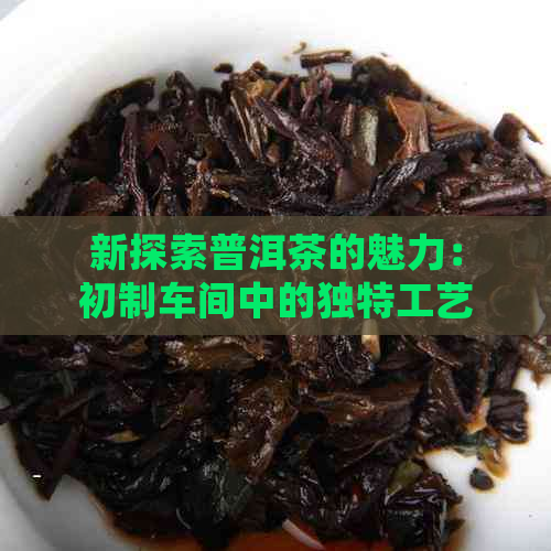 新探索普洱茶的魅力：初制车间中的独特工艺与传统经验