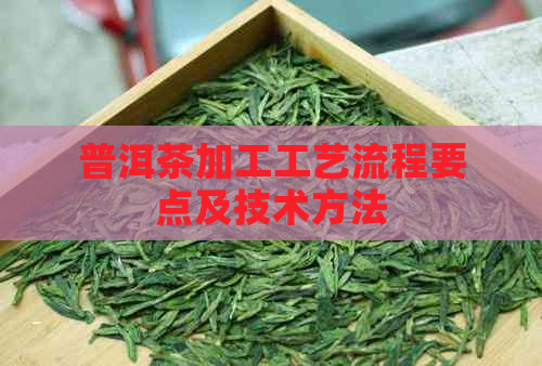 普洱茶加工工艺流程要点及技术方法