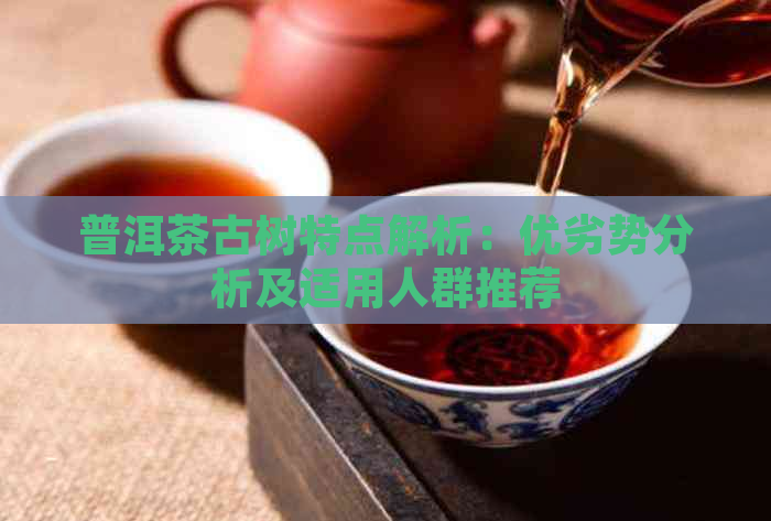 普洱茶古树特点解析：优劣势分析及适用人群推荐