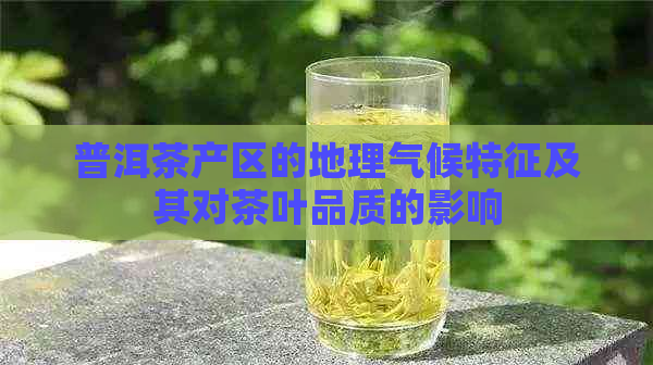 普洱茶产区的地理气候特征及其对茶叶品质的影响