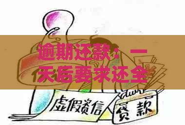 逾期还款：一天后要求还全款是否合理？分析与建议