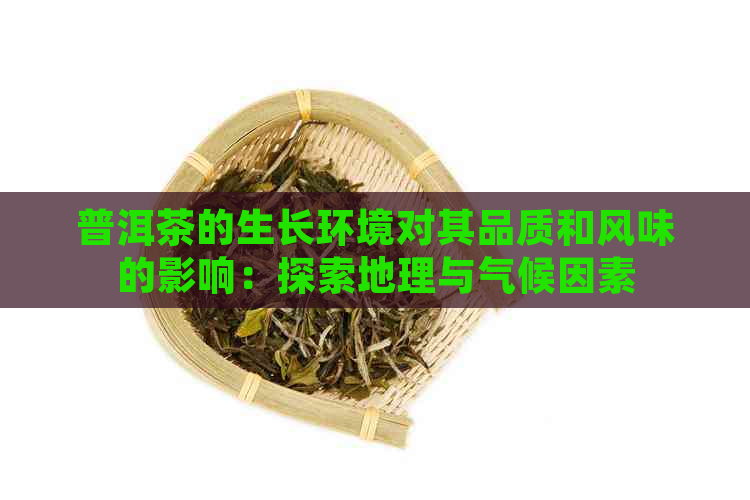 普洱茶的生长环境对其品质和风味的影响：探索地理与气候因素