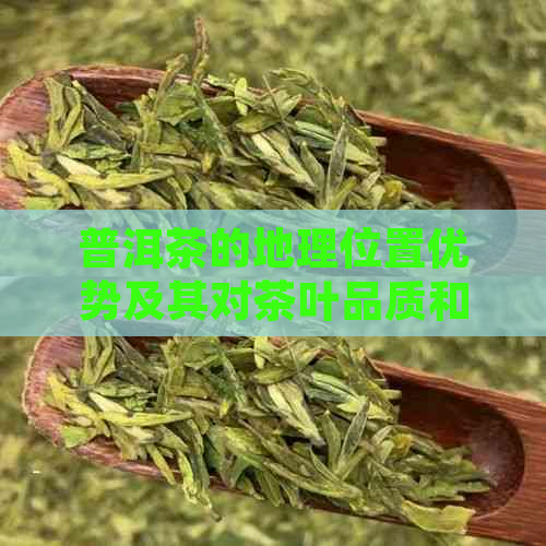 普洱茶的地理位置优势及其对茶叶品质和市场的影响分析