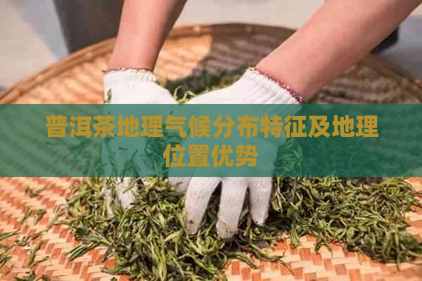 普洱茶地理气候分布特征及地理位置优势