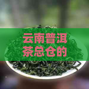 云南普洱茶总仓的位置及其特色茶品推荐