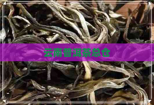 云南普洱茶总仓