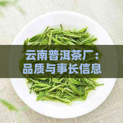 云南普洱茶厂：品质与事长信息一览