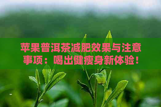 苹果普洱茶减肥效果与注意事项：喝出健瘦身新体验！