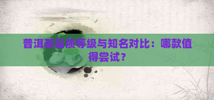 普洱茶品质等级与知名对比：哪款值得尝试？