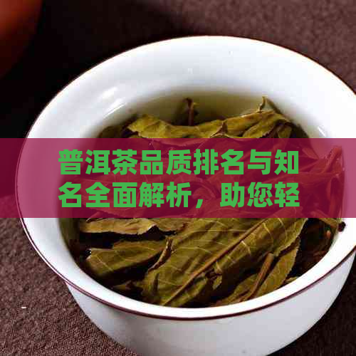 普洱茶品质排名与知名全面解析，助您轻松选购高档次茶叶