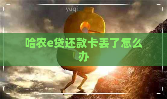 哈农e贷还款卡丢了怎么办