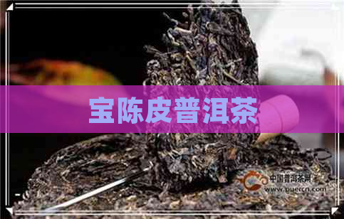 宝陈皮普洱茶