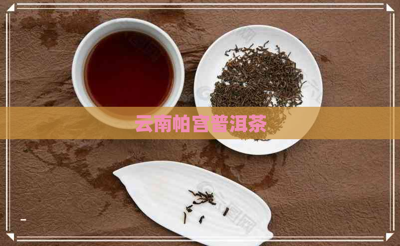 云南帕宫普洱茶