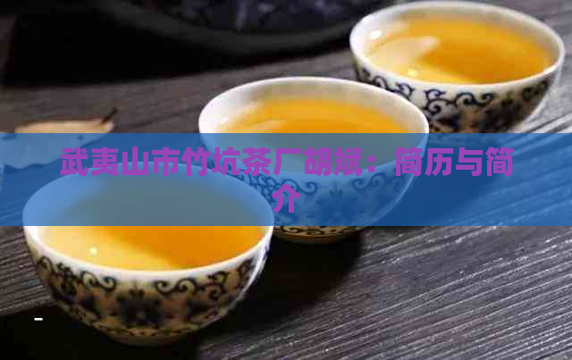 武夷山市竹坑茶厂胡斌：简历与简介