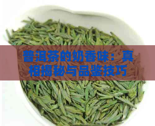 普洱茶的奶香味：真相揭秘与品鉴技巧