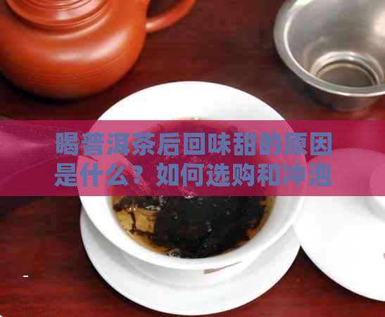 喝普洱茶后回味甜的原因是什么？如何选购和冲泡普洱茶以获得口感？