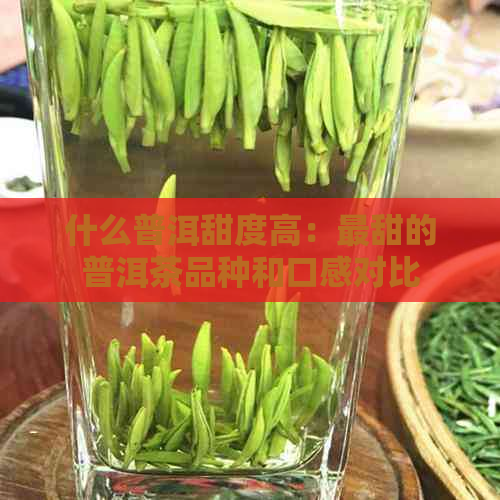 什么普洱甜度高：最甜的普洱茶品种和口感对比