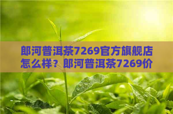 郎河普洱茶7269官方旗舰店怎么样？郎河普洱茶7269价格表、熟茶口感如何？