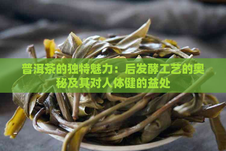 普洱茶的独特魅力：后发酵工艺的奥秘及其对人体健的益处