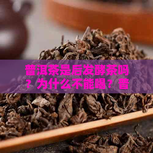 普洱茶是后发酵茶吗？为什么不能喝？普洱茶的后发酵特质和价格原因是什么？