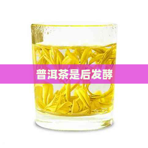 普洱茶是后发酵