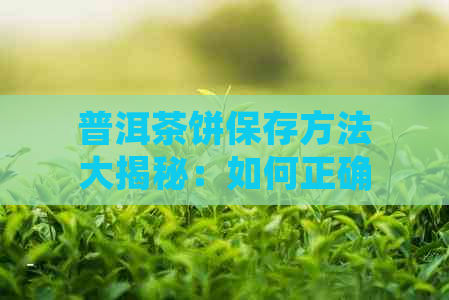 普洱茶饼保存方法大揭秘：如何正确保存散开的普洱茶饼以保持其品质与风味？