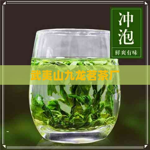 武夷山九龙茗茶厂