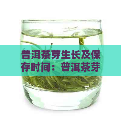 普洱茶芽生长及保存时间：普洱茶芽头、芽子及茶叶最长可保存多长时间？