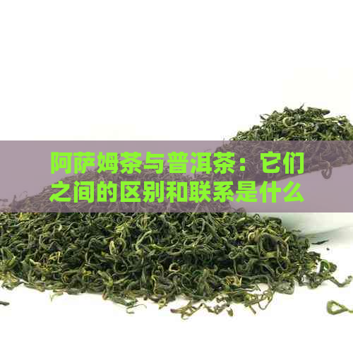 阿萨姆茶与普洱茶：它们之间的区别和联系是什么？