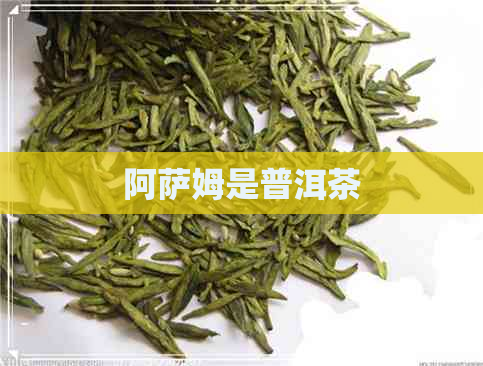 阿萨姆是普洱茶