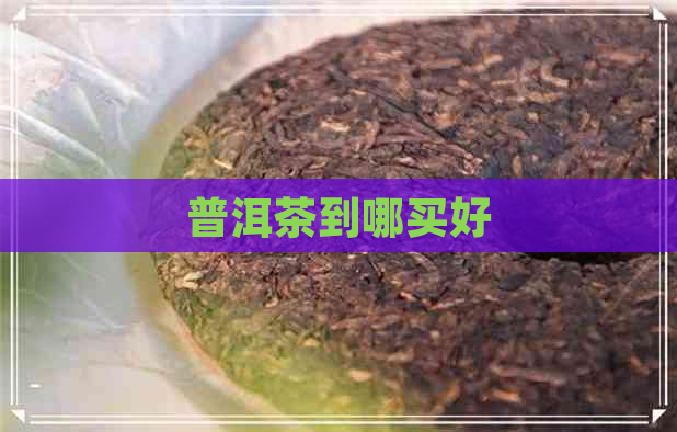 普洱茶到哪买好