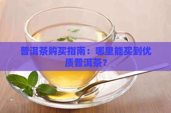 普洱茶购买指南：哪里能买到优质普洱茶？