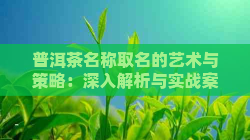 普洱茶名称取名的艺术与策略：深入解析与实战案例