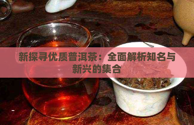 新探寻优质普洱茶：全面解析知名与新兴的     