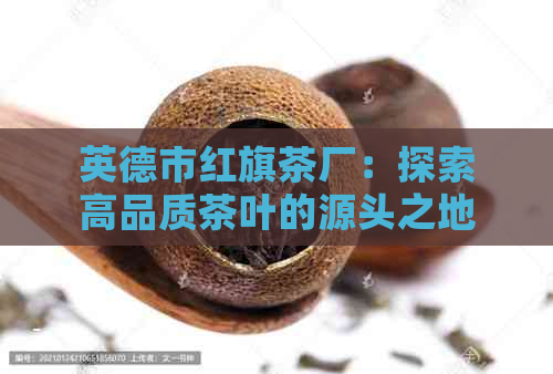 英德市红旗茶厂：探索高品质茶叶的源头之地