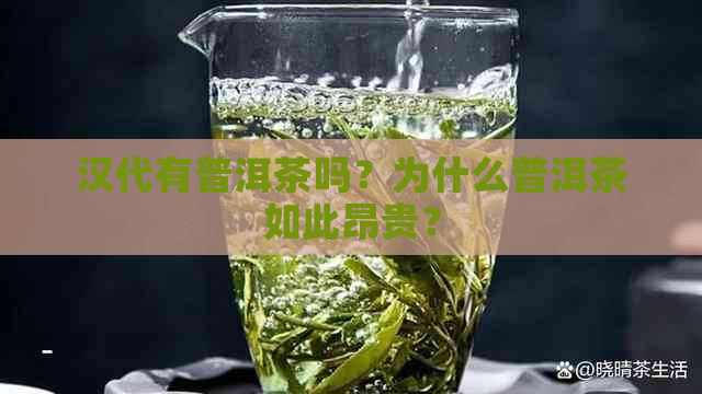 汉代有普洱茶吗？为什么普洱茶如此昂贵？