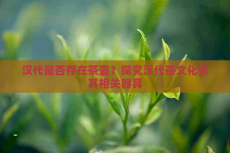 汉代是否存在茶壶？探究汉代茶文化及其相关器具