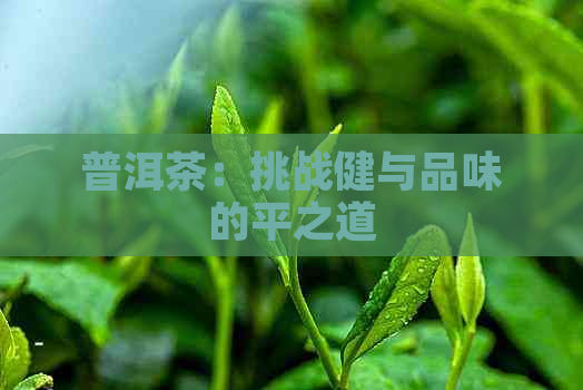 普洱茶：挑战健与品味的平之道