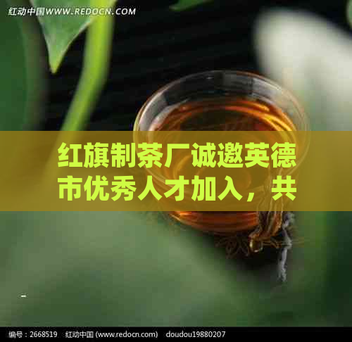 红旗制茶厂诚邀英德市优秀人才加入，共创辉煌未来！