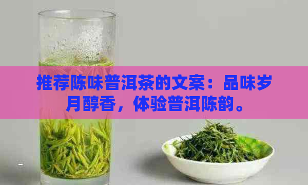 推荐陈味普洱茶的文案：品味岁月醇香，体验普洱陈韵。