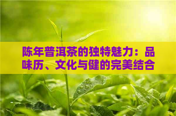 陈年普洱茶的独特魅力：品味历、文化与健的完美结合