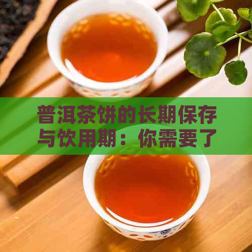 普洱茶饼的长期保存与饮用期：你需要了解的关键信息