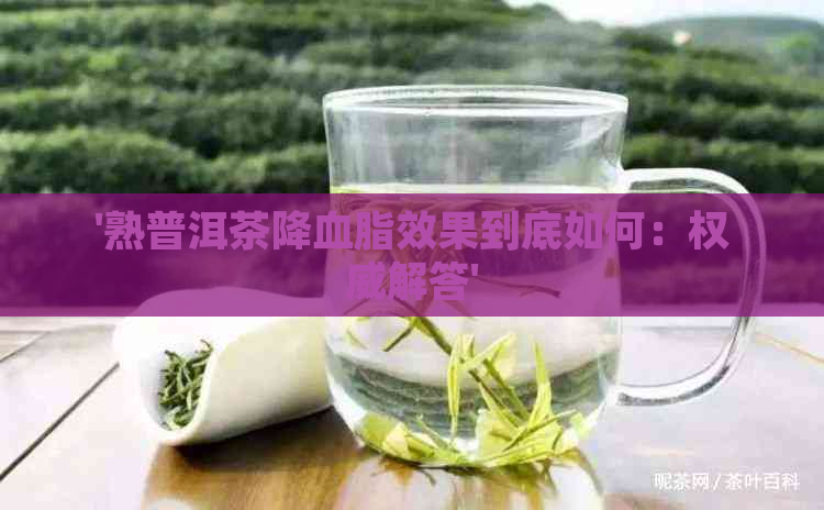 '熟普洱茶降血脂效果到底如何：权威解答'