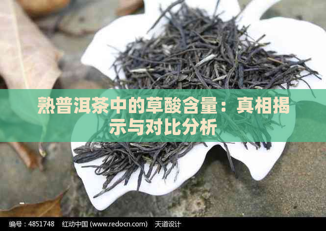 熟普洱茶中的草酸含量：真相揭示与对比分析