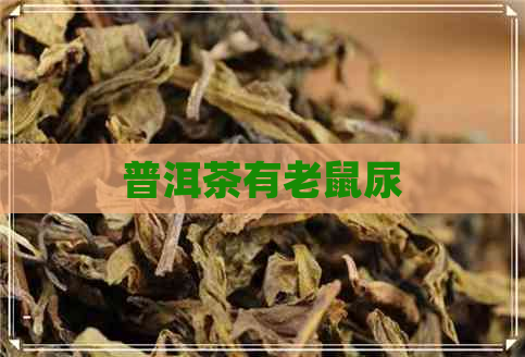 普洱茶有老鼠尿